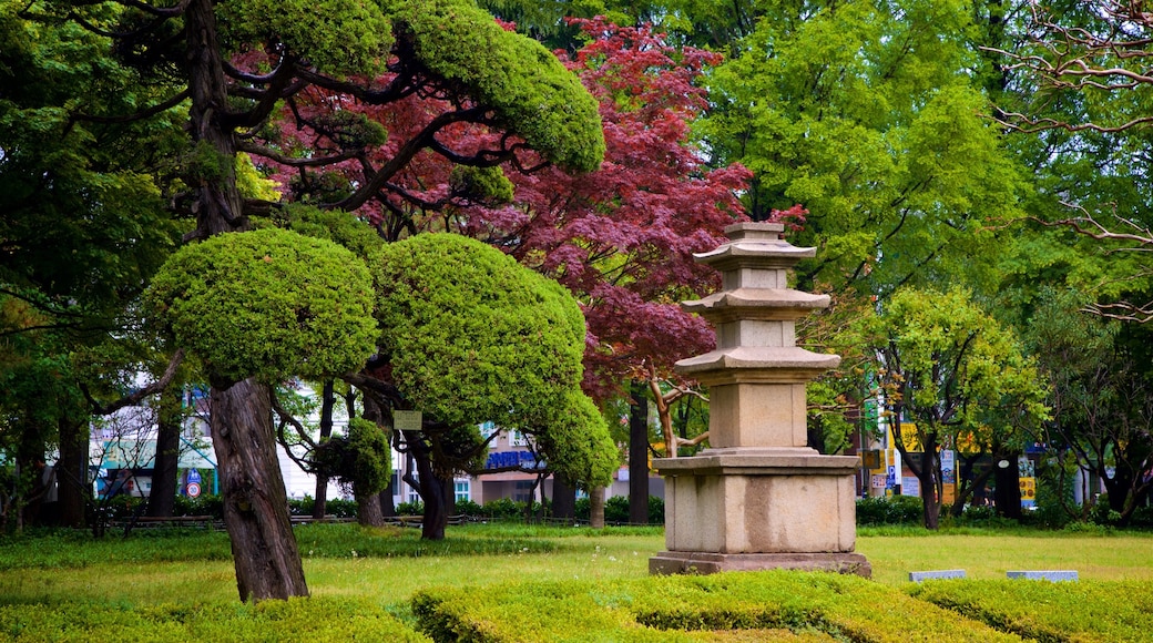 Museo de Busan ofreciendo flores silvestres y un parque