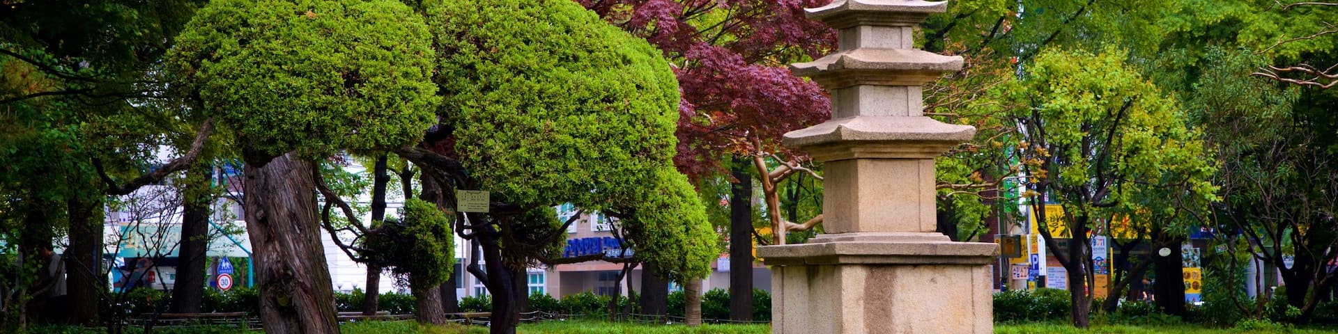 Busan Museum mit einem Wildblumen und Park