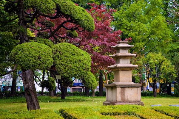 Busan Museum featuring a garden and wild flowers