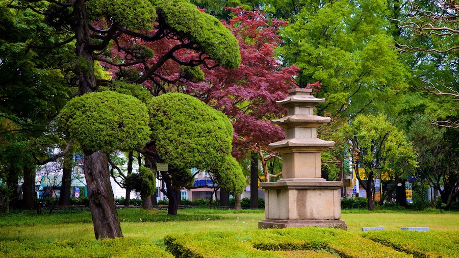 Museo de Busan mostrando un parque y flores salvajes
