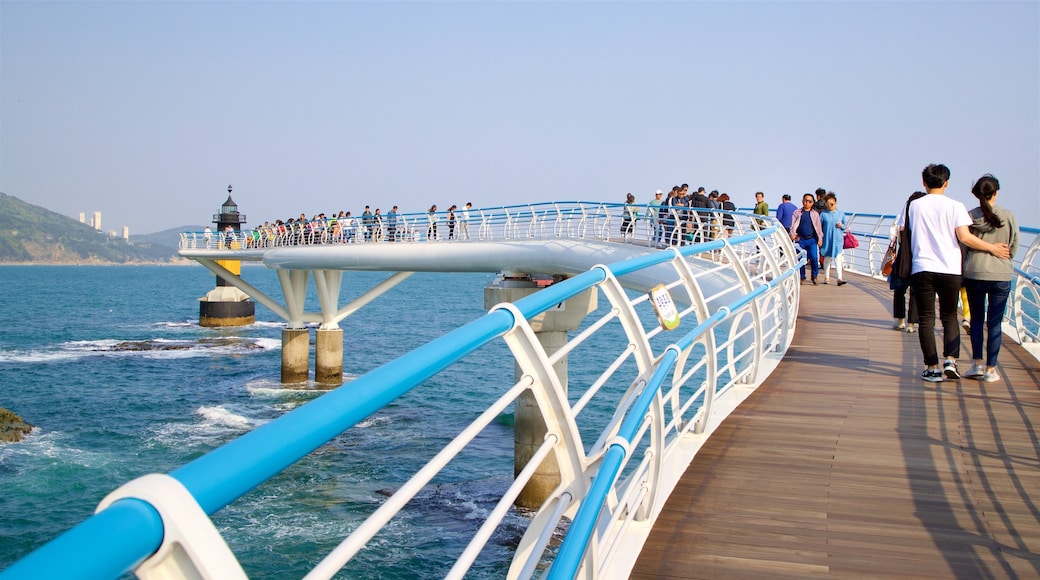 Praia de Songdo mostrando paisagens litorâneas assim como um pequeno grupo de pessoas