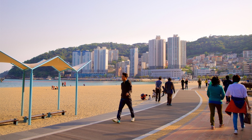 Songdo Beach showing a sunset, a coastal town and a beach