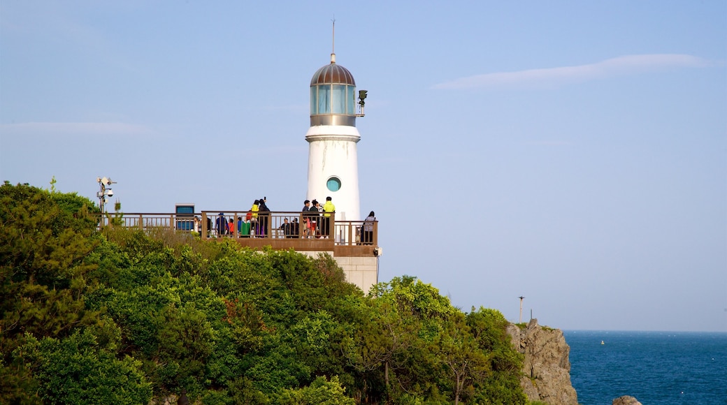 Dongbaekseom Park showing general coastal views, views and a lighthouse