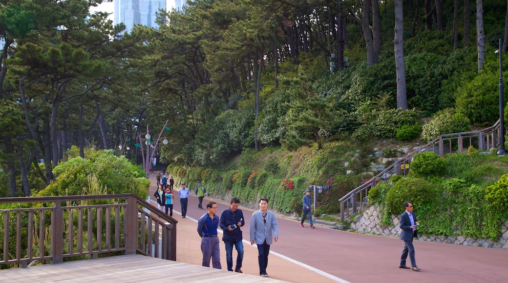 Dongbaekseom Park which includes a garden as well as a small group of people