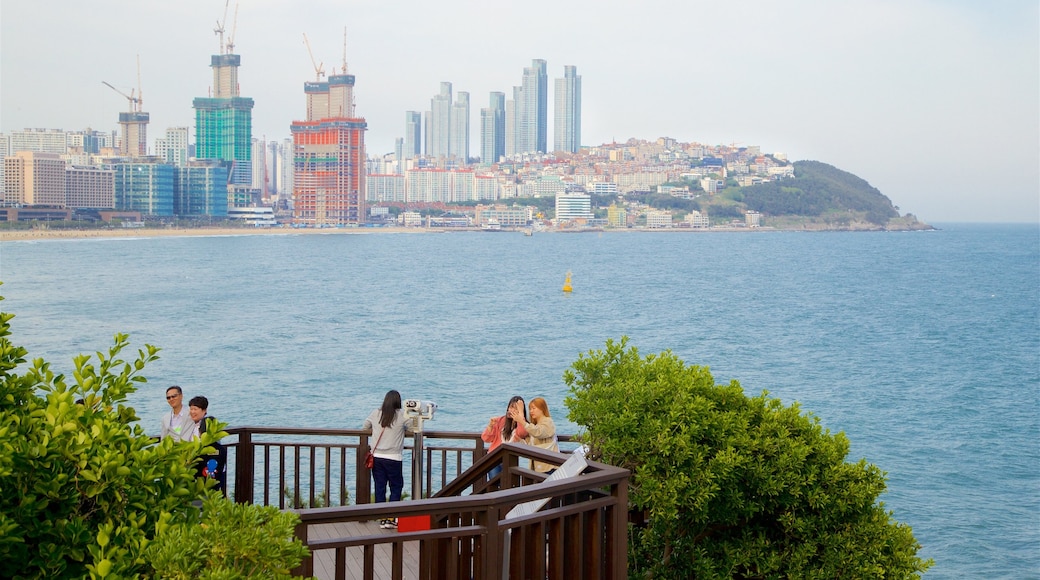 Parque Dongbaekseom mostrando vistas, vistas generales de la costa y un rascacielos