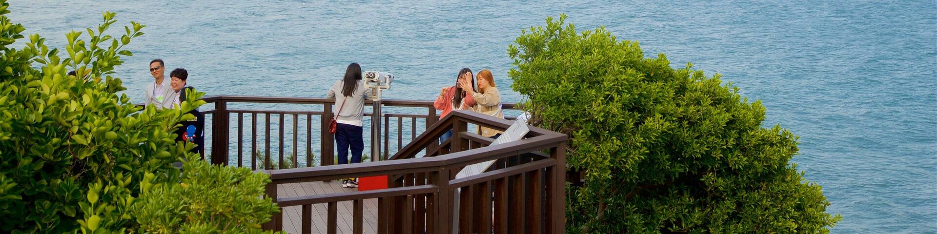 Dongbaekseom Park which includes a skyscraper, a city and general coastal views