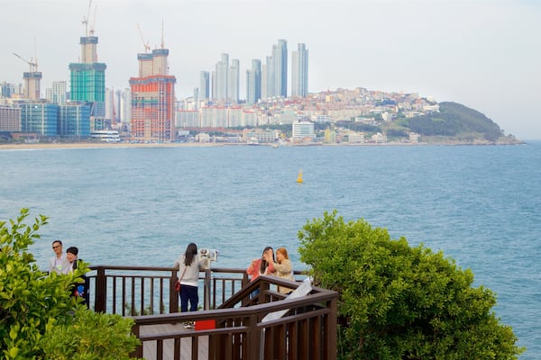 Park von Dongbaekseom das einen allgemeine Küstenansicht, Hochhaus und Stadt