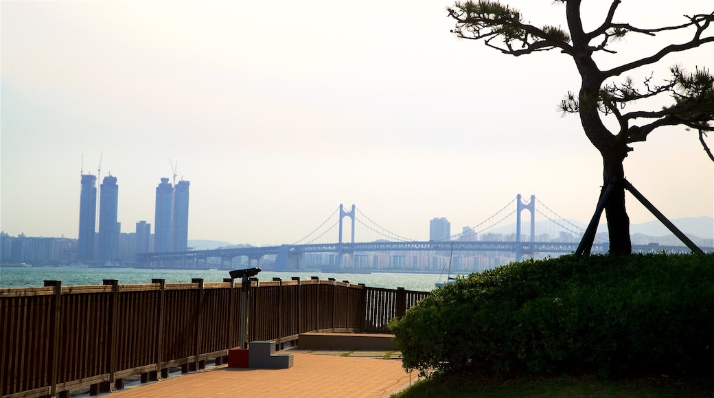 APEC Naru Park which includes views, a bridge and a city