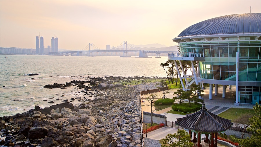 Taman APEC Naru
