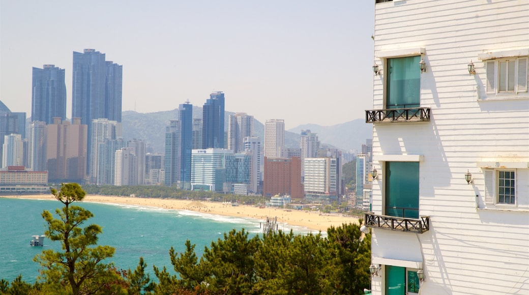 Dalmaji Hill showing a coastal town, a beach and a high-rise building