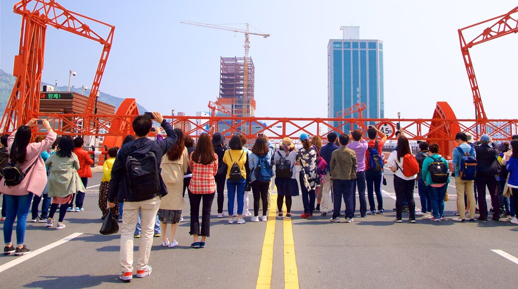 影島大橋 呈现出 城市 以及 一小群人