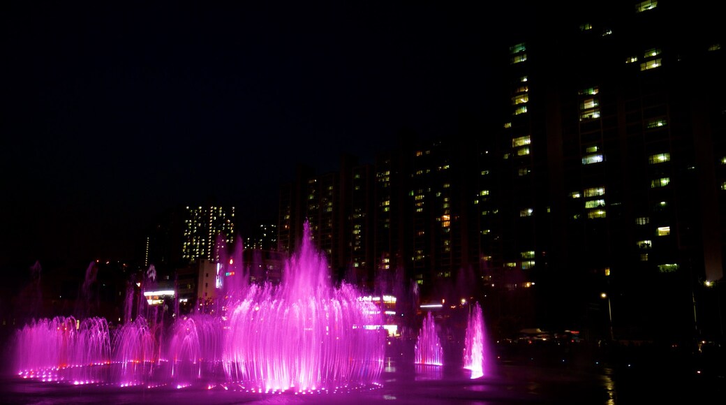 Fontaine des rêves Dadaepo qui includes scènes de nuit, ville et fontaine