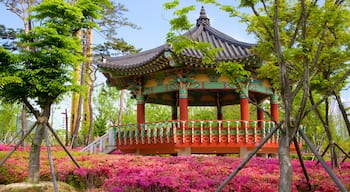 Busan Citizens Park caracterizando um jardim, elementos de patrimônio e flores silvestres