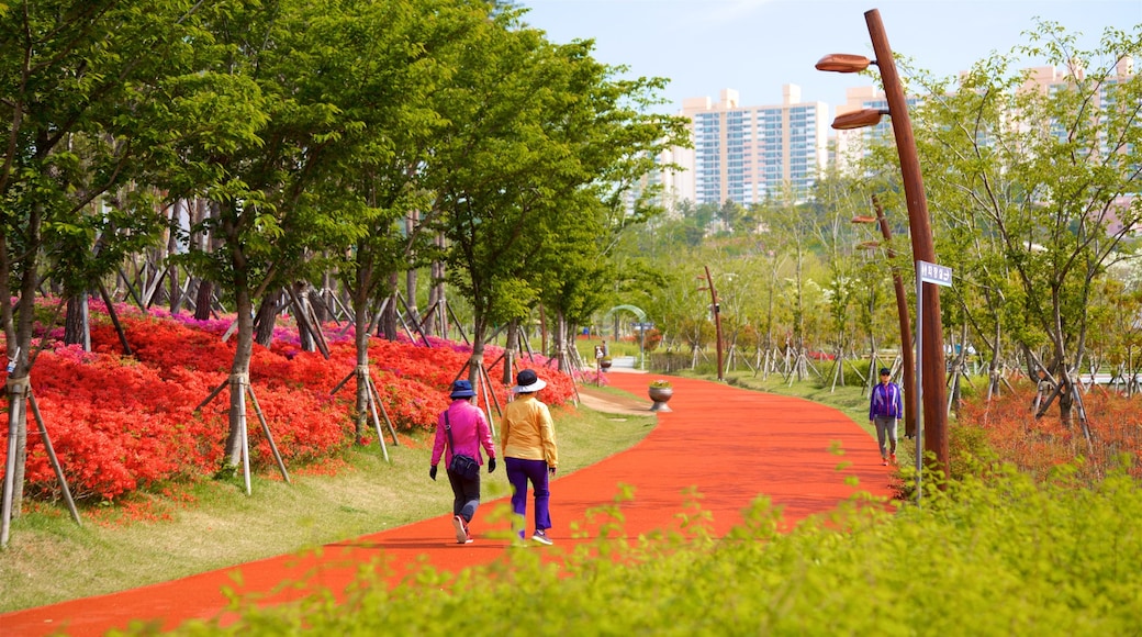 Busan Citizens Park showing a park, wild flowers and a city