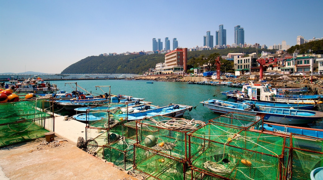 Busan showing a city and a bay or harbor