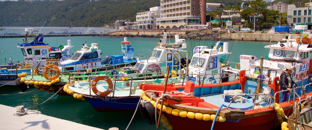 ๋ถ์ฐ ์ ํน์ง ํญ๊ตฌ ๋๋ ํญ๋ง ๊ณผ ๋์