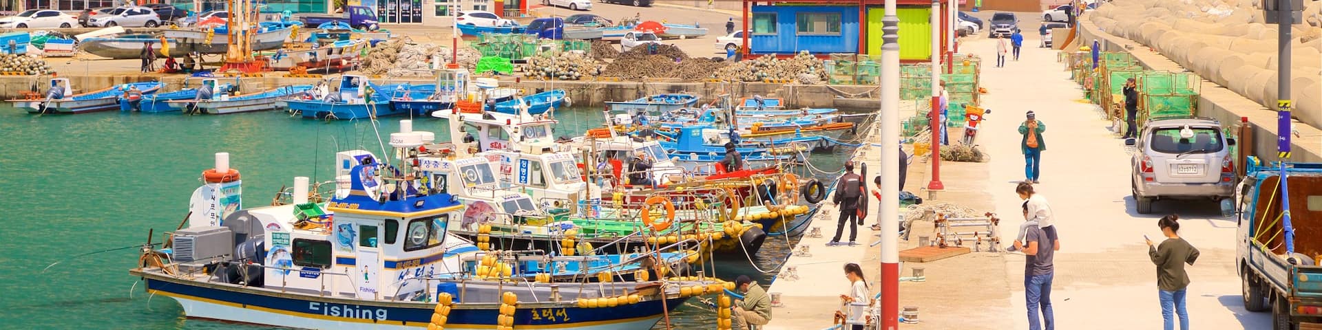 Busan featuring a bay or harbor as well as a small group of people