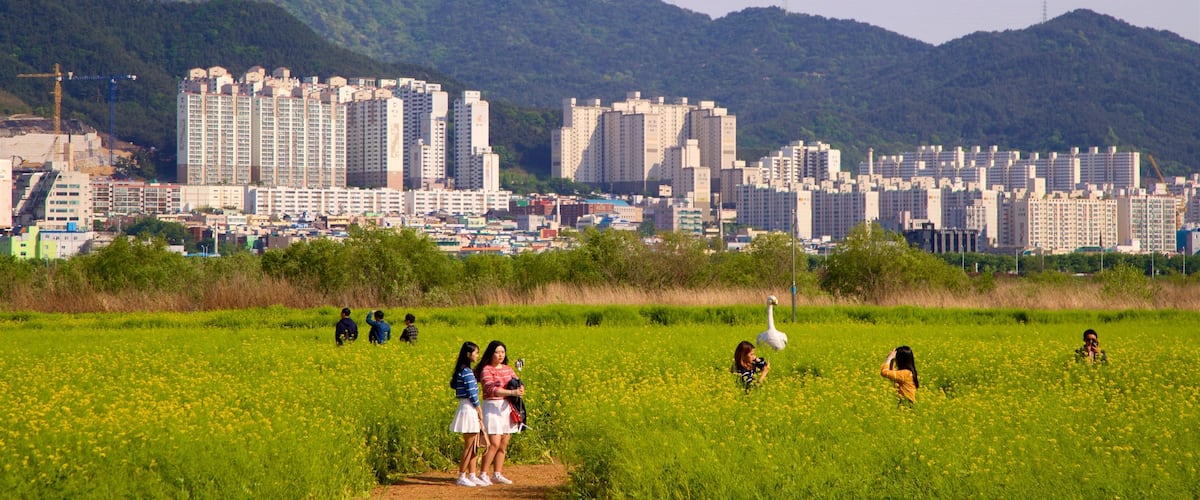 Busan featuring tranquil scenes, a city and mountains