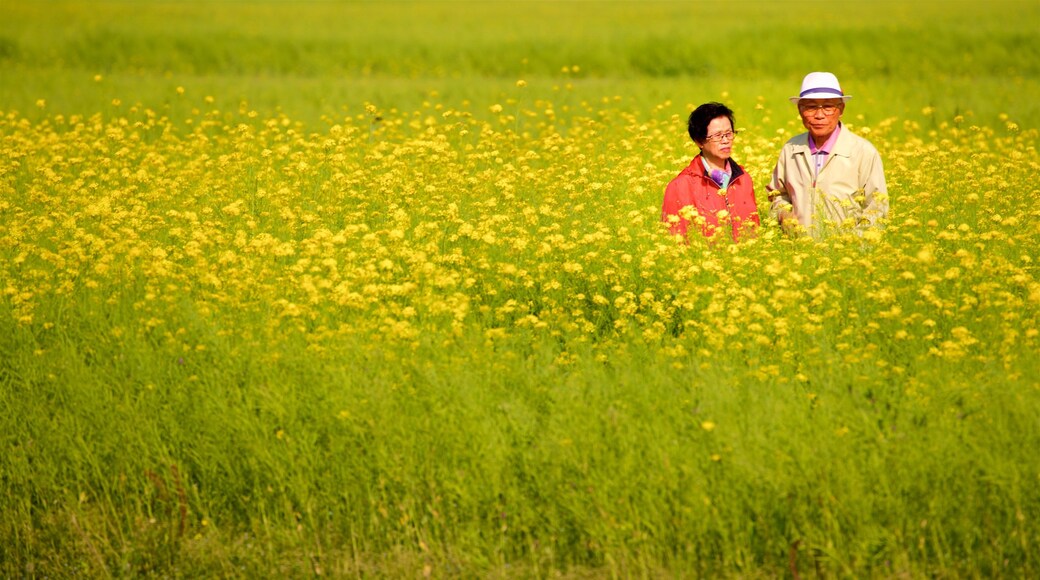 Busan which includes wildflowers and tranquil scenes as well as a couple