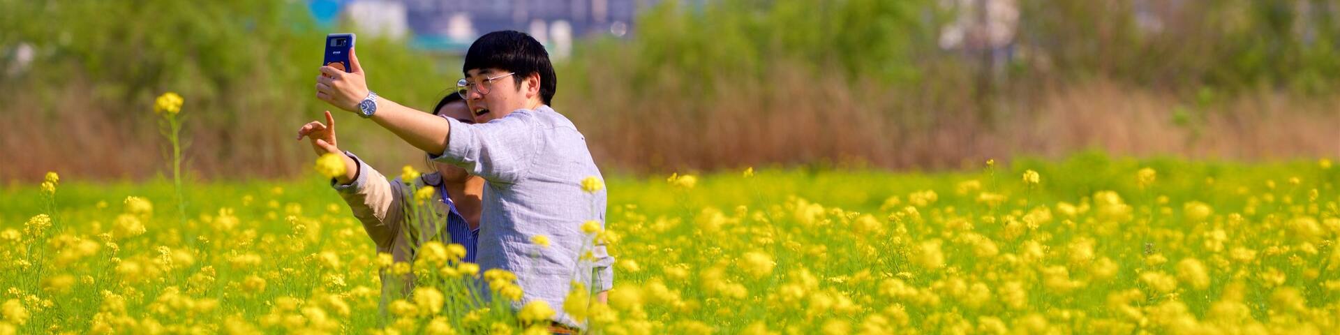 Busan showing tranquil scenes, a city and wildflowers