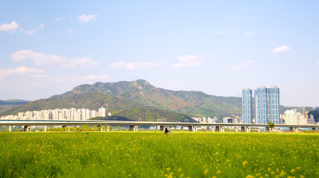 Busan which includes wild flowers, mountains and tranquil scenes