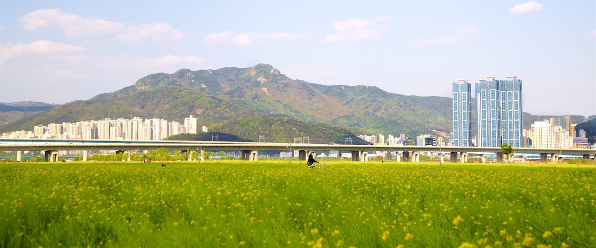 Busan which includes tranquil scenes, mountains and a city