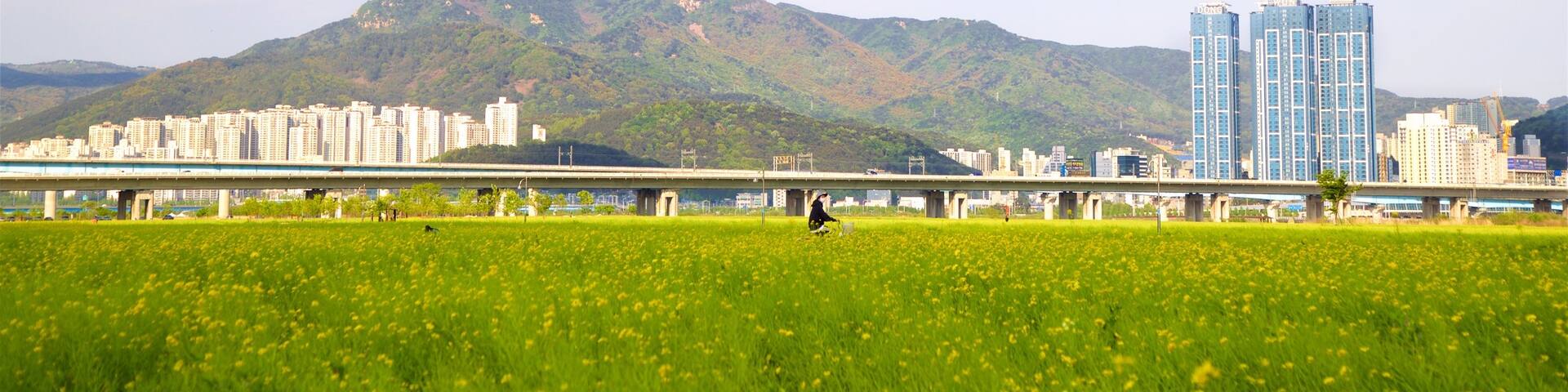 Busan showing landscape views, mountains and a city