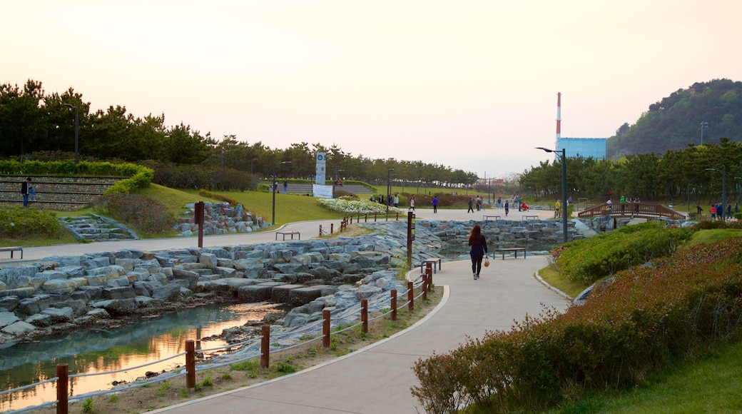 Busan que incluye un río o arroyo, un atardecer y un parque