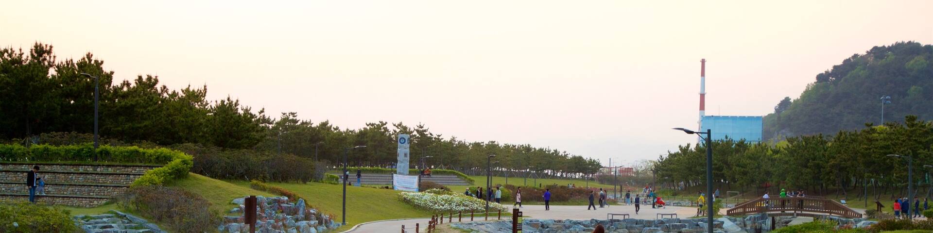 Busan which includes a sunset, a river or creek and a park