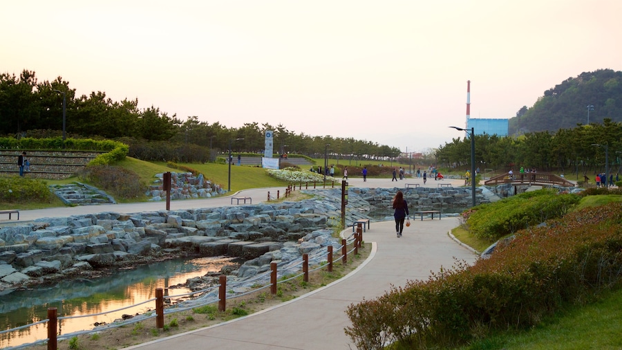 Busan which includes a garden, a sunset and a river or creek