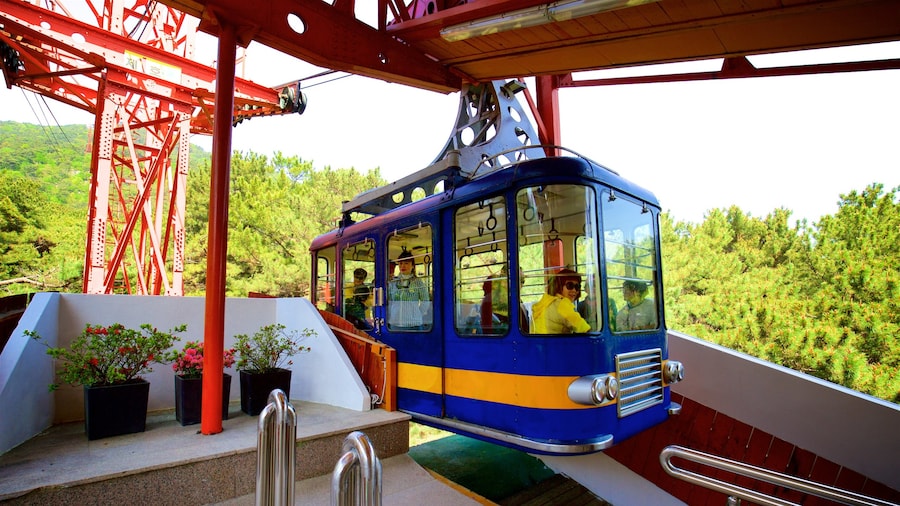 Namsan Cable Car which includes a gondola as well as a small group of people