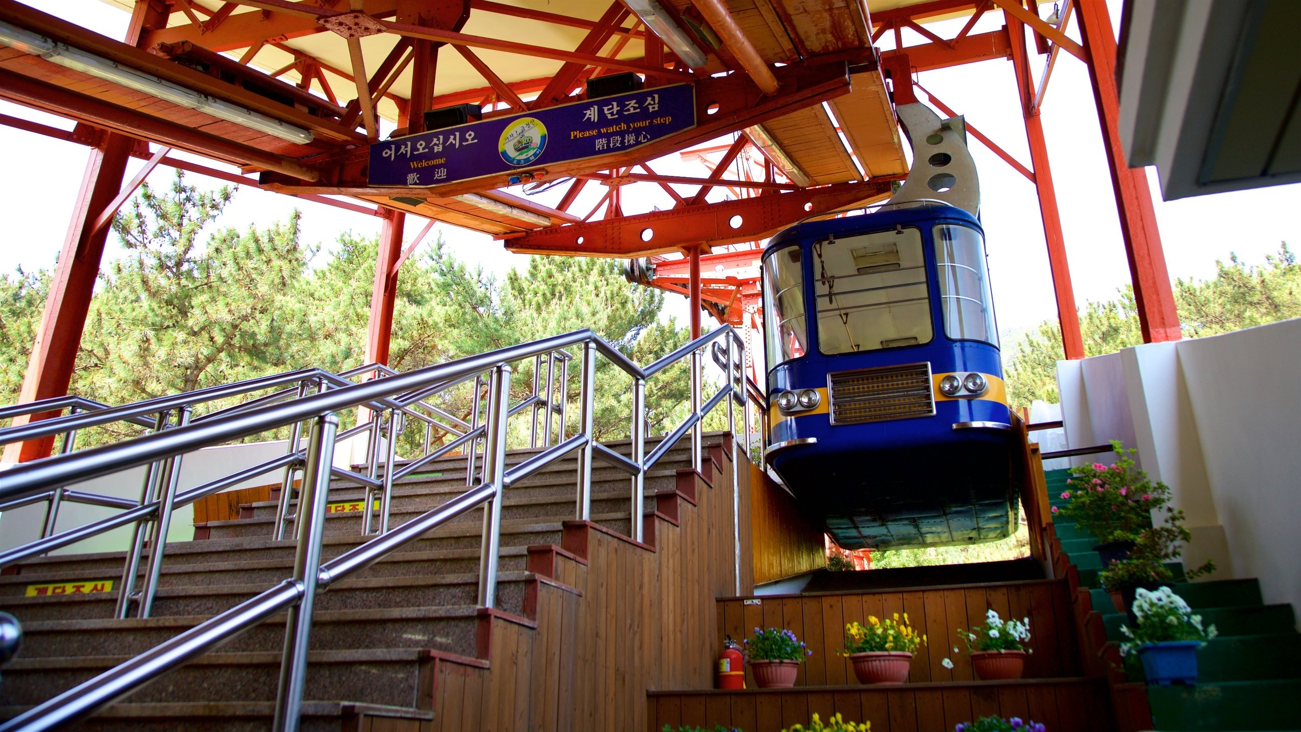 namsan-cable-car-tours-book-now-expedia