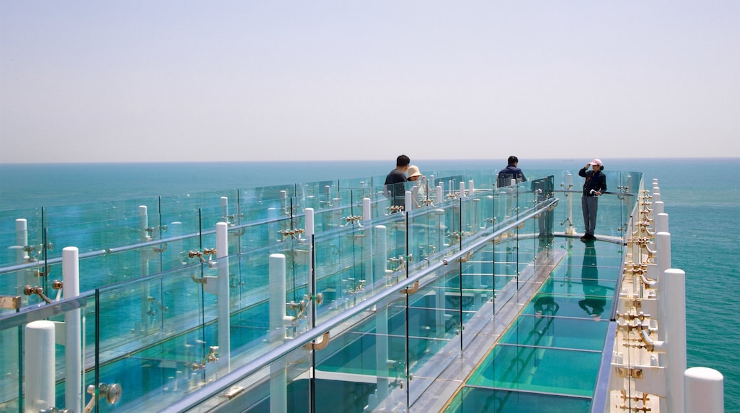 Busan showing general coastal views, a bridge and views