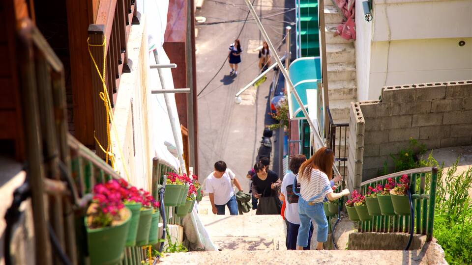Busan which includes flowers as well as a small group of people
