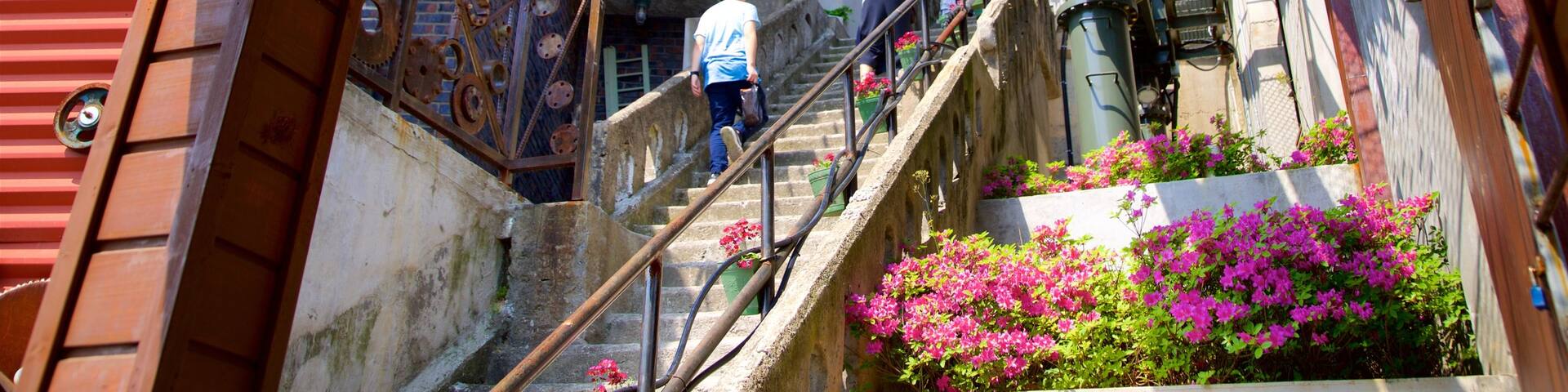 Busan showing flowers as well as a couple