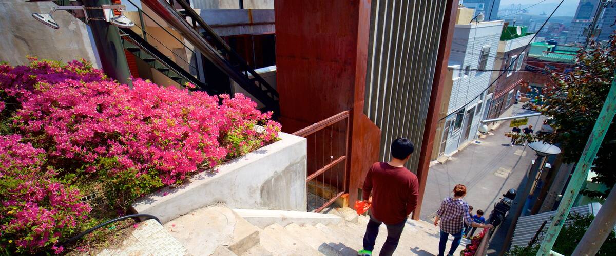 Busan showing wildflowers and a city as well as a couple