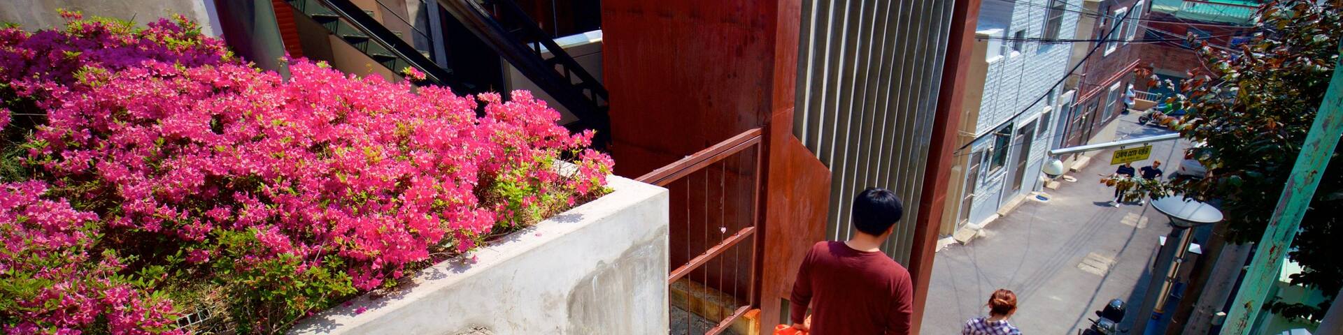 Busan showing wildflowers and a city as well as a couple