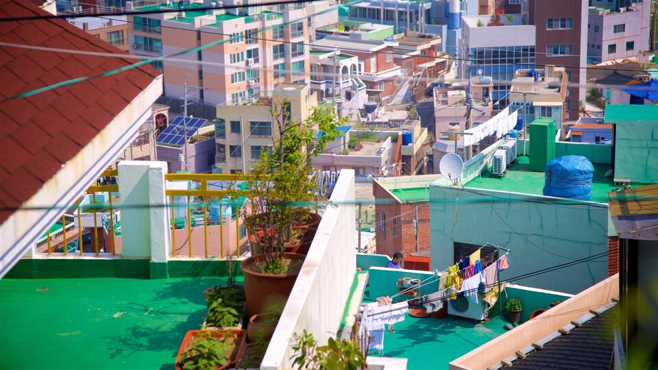 Busan showing landscape views and a city