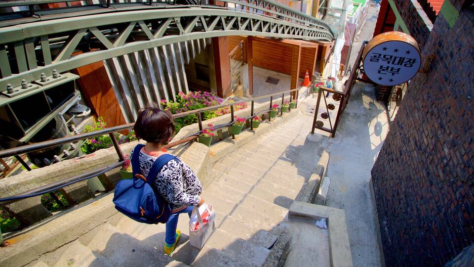 Busan featuring flowers and signage as well as an individual femail