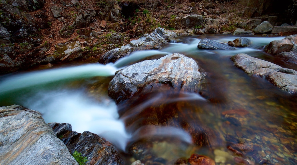 Pyeongchang showing a river or creek