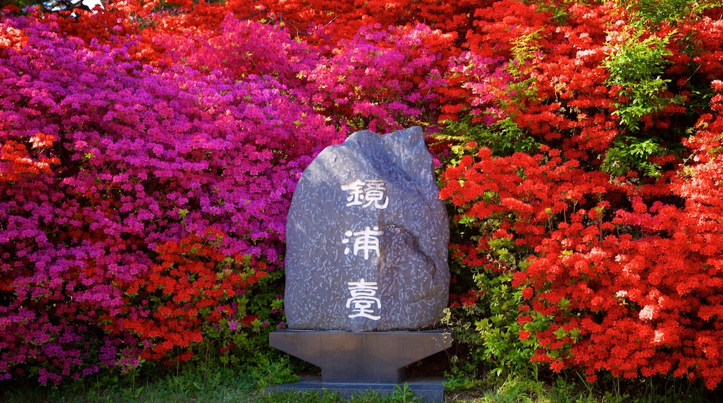 Gyeongpodae showing signage and wildflowers