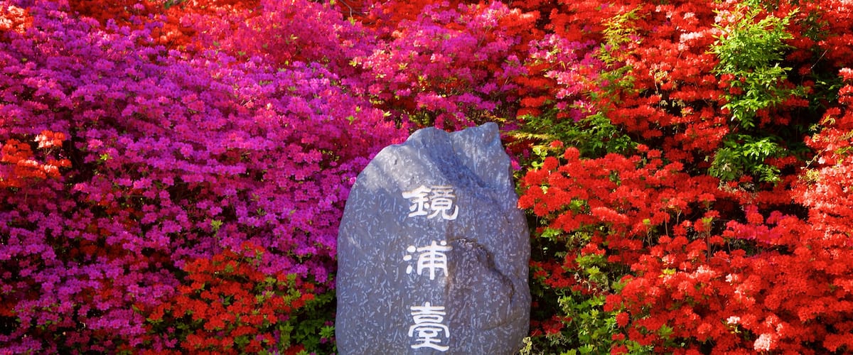 Gyeongpodae cho thấy hoa dại và biển hiệu