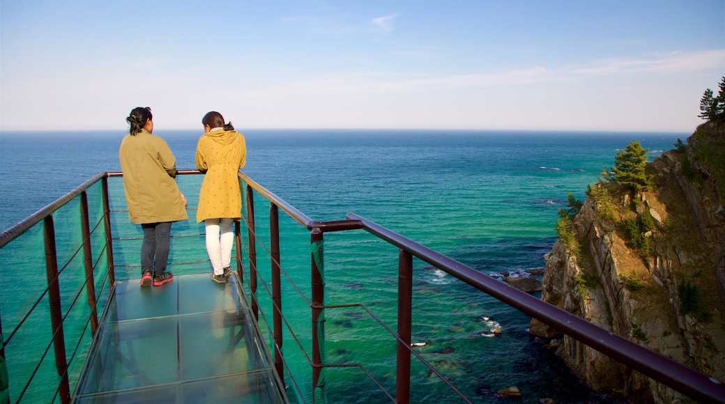 Gangneung showing general coastal views, views and rugged coastline