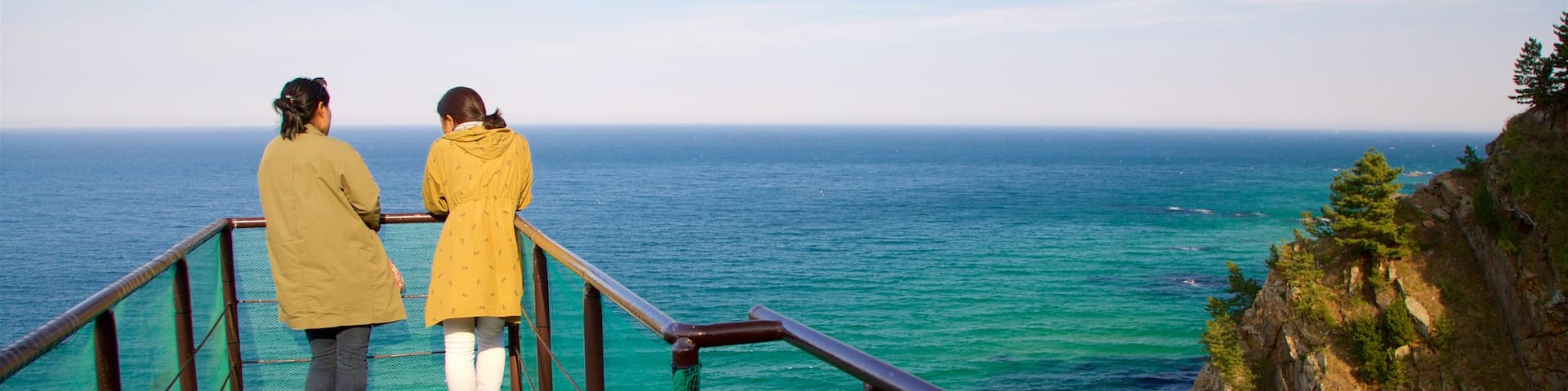 Gangneung which includes rugged coastline, views and general coastal views