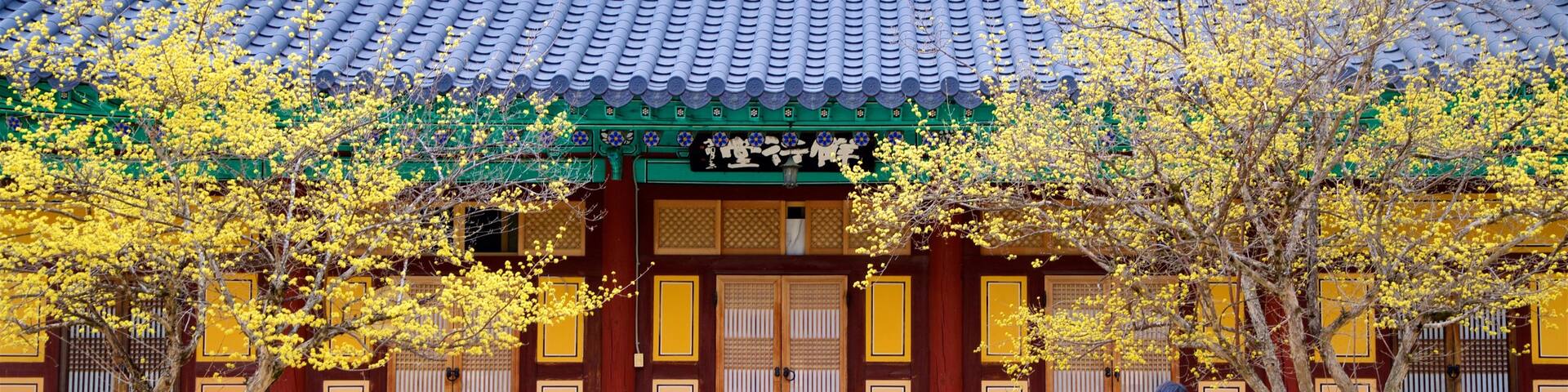 Woljeongsa Temple which includes heritage elements as well as an individual male