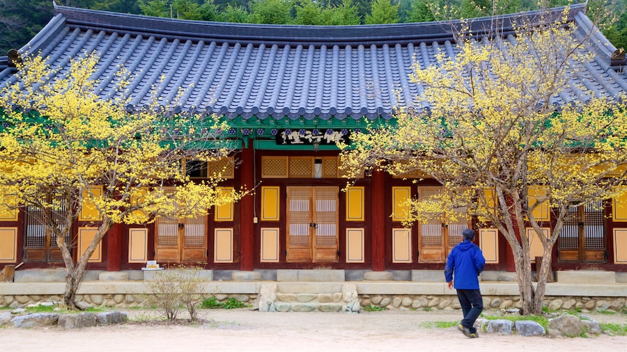 Templo Woljeongsa