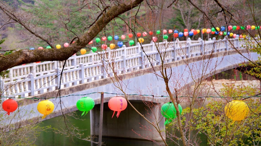 Woljeongsa Temple featuring a bridge and a river or creek