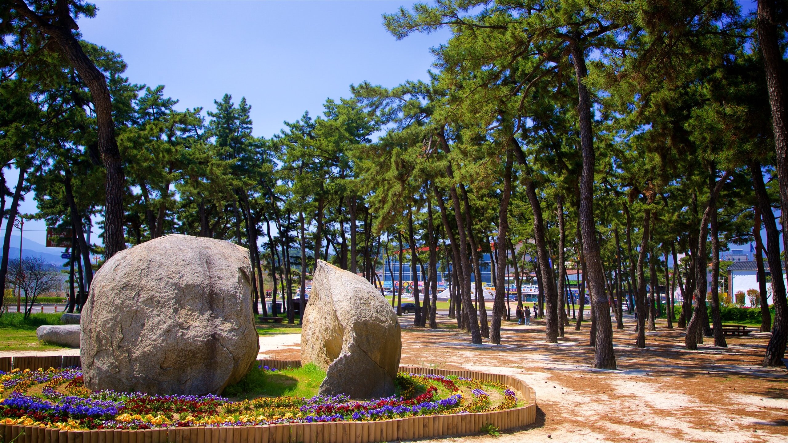 Pyeongchang featuring a park and flowers