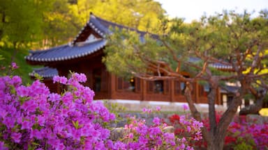 Gangneung Seongyojang House showing wild flowers and heritage elements