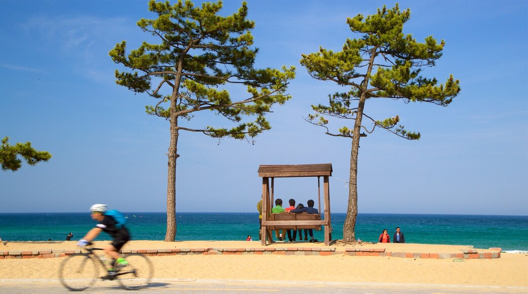 Gangneung som visar kustutsikter, en strand och cykling